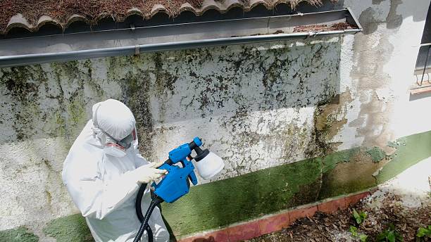 Trusted Crawl Space Mold Removal service in Emmitsburg, MD - Cheap Mold Removal